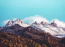 开云体育下载网址-开云：让云端成为企业自由生长的土壤