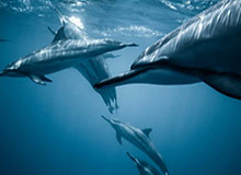 开云体育下载网址-开云：让云端成为企业自由生长的土壤